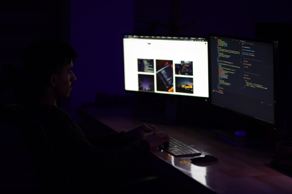 ESG Services